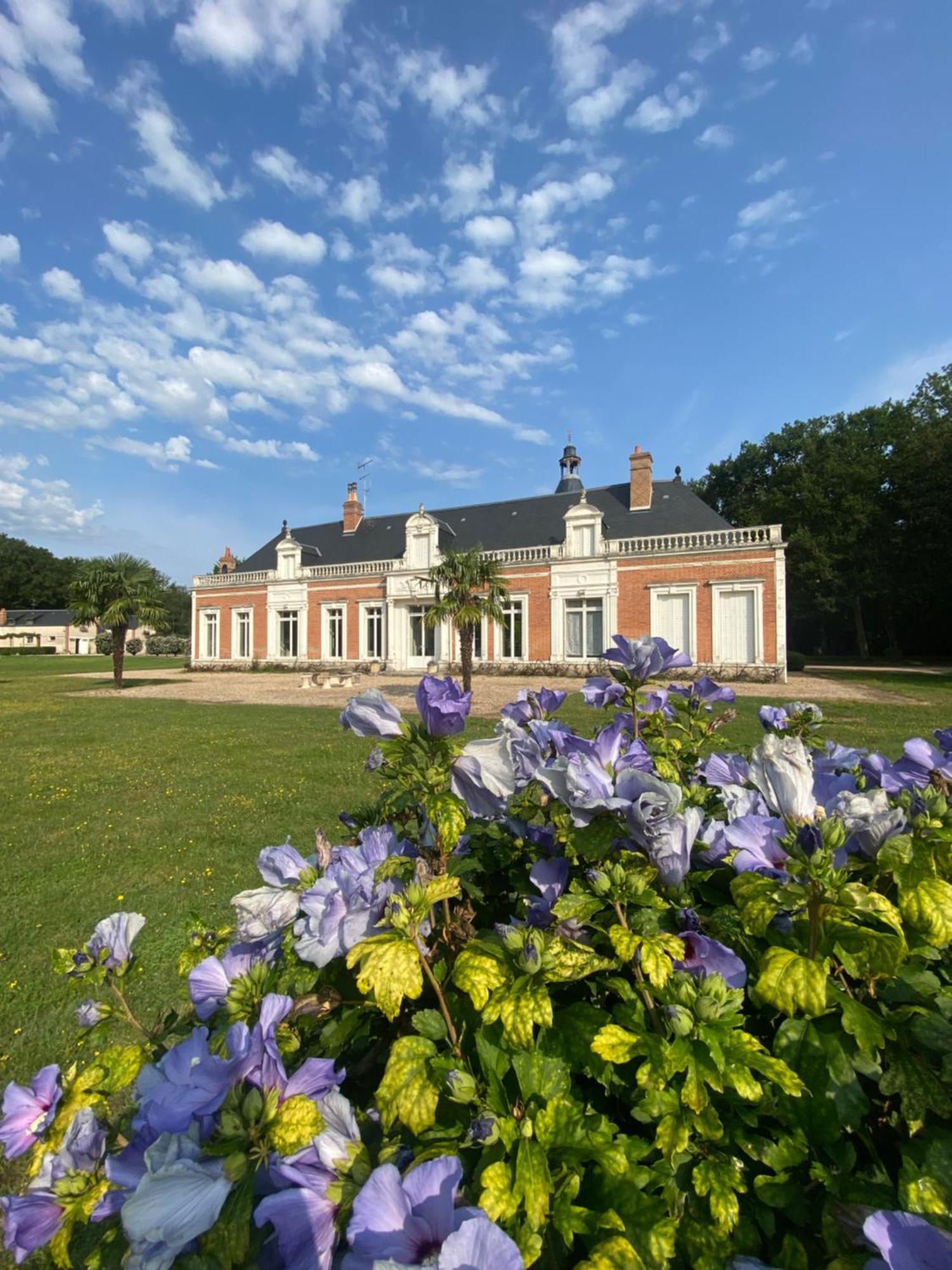 Domaine De Charme - Les Places Lassay-sur-Croisne Zewnętrze zdjęcie